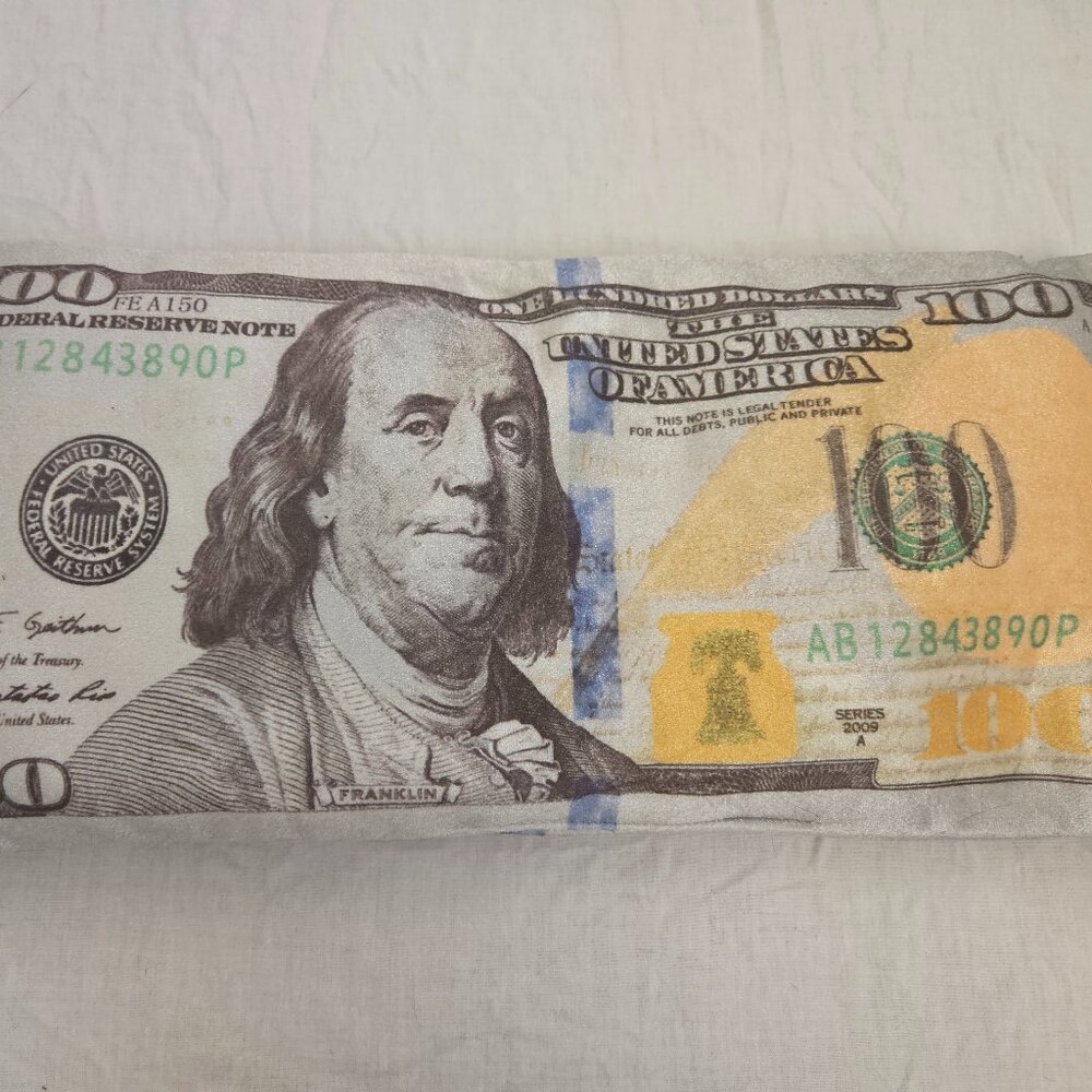 Plush 100 Dollar Money Pillow 15x7.5 Prize Gag Gift